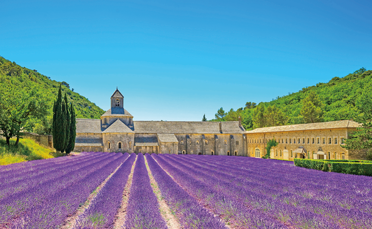 ​2026日本歐洲賞花全攻略｜各國花季時間、​日本紫藤、荷蘭鬱金香、歐洲薰衣草、常見問題