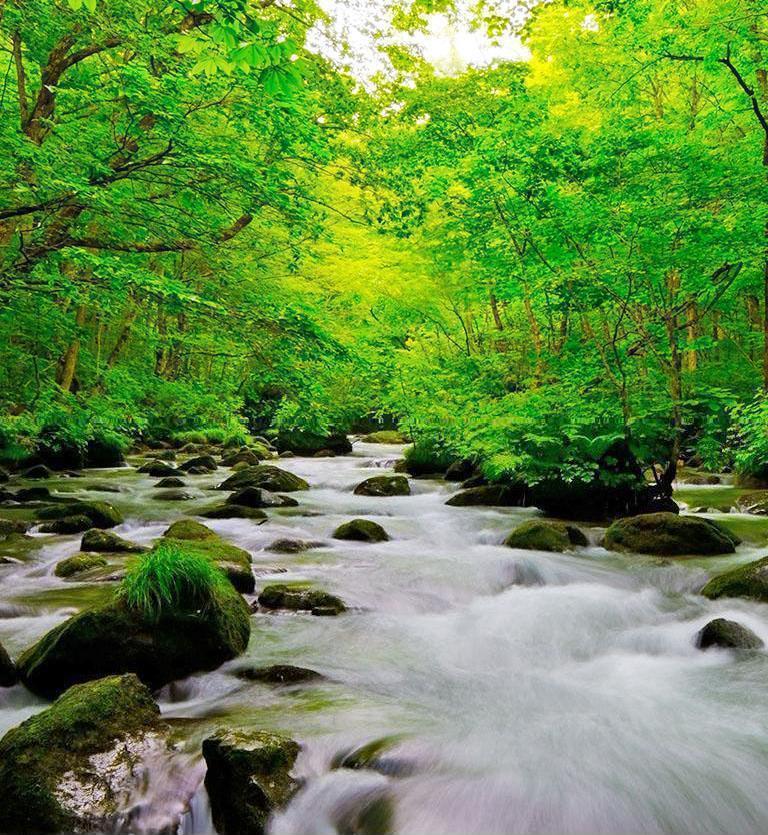 東北‧青森‧奧入瀨 - Tohoku