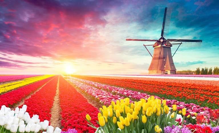 荷比盧．鬱金香花舞11日(荷蘭航空) - 庫肯霍夫春彩．童話羊角村．5星阿姆斯特丹